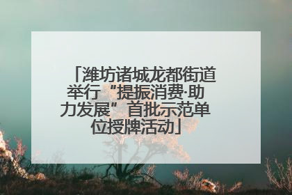 潍坊诸城龙都街道举行“提振消费·助力发展”首批示范单位授牌活动