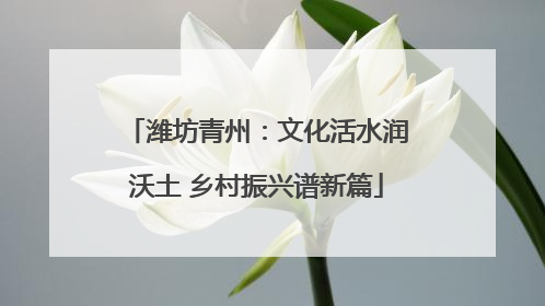 潍坊青州：文化活水润沃土 乡村振兴谱新篇