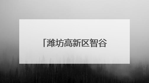 潍坊高新区智谷幼儿园精心培育“小小策展人”