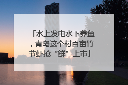 水上发电水下养鱼，青岛这个村百亩竹节虾抢“鲜”上市