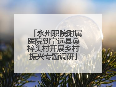 永州职院附属医院到宁远县桑梓头村开展乡村振兴专题调研