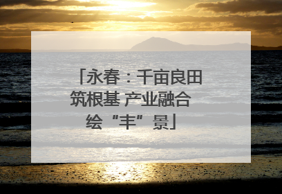 永春：千亩良田筑根基 产业融合绘“丰”景