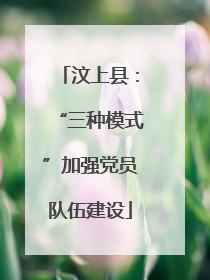 汶上县：“三种模式”加强党员队伍建设