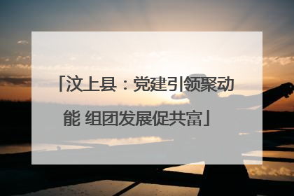 汶上县：党建引领聚动能 组团发展促共富
