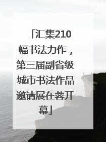 汇集210幅书法力作，第三届副省级城市书法作品邀请展在蓉开幕