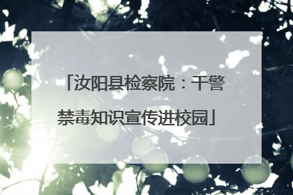 汝阳县检察院：干警禁毒知识宣传进校园