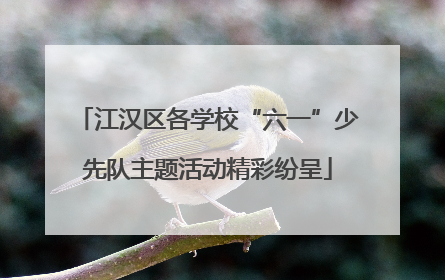 江汉区各学校“六一”少先队主题活动精彩纷呈