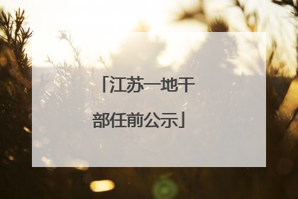 江苏一地干部任前公示