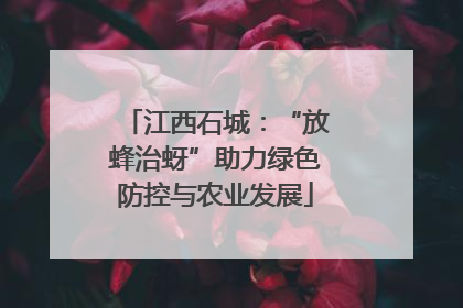 江西石城：“放蜂治蚜”助力绿色防控与农业发展