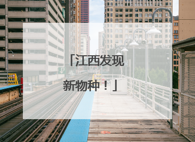 江西发现新物种！