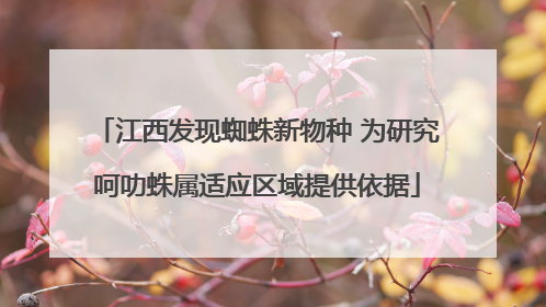 江西发现蜘蛛新物种 为研究呵叻蛛属适应区域提供依据