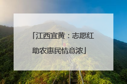 江西宜黄：志愿红助农惠民情意浓