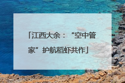 江西大余：“空中管家”护航稻虾共作