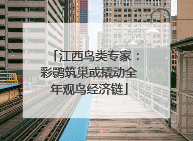 江西鸟类专家：彩鹮筑巢或撬动全年观鸟经济链