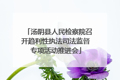 汤阴县人民检察院召开趋利性执法司法监督专项活动推进会