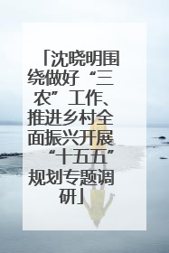 沈晓明围绕做好“三农”工作、推进乡村全面振兴开展“十五五”规划专题调研
