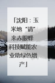 沈阳：玉米地“请”来赤眼蜂 科技赋能农业助绿色增产