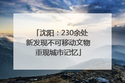 沈阳：230余处新发现不可移动文物重现城市记忆
