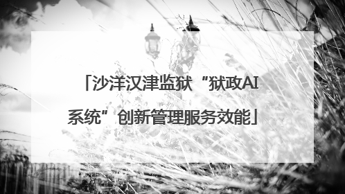 沙洋汉津监狱“狱政AI系统”创新管理服务效能