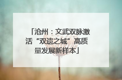 沧州：文武双脉激活“双遗之城”高质量发展新样本