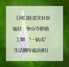 河口区崇文社区项目：争分夺秒抢工期 “一站式”生活圈年底亮相