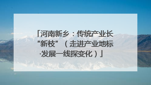 河南新乡：传统产业长“新枝”（走进产业地标·发展一线探变化）