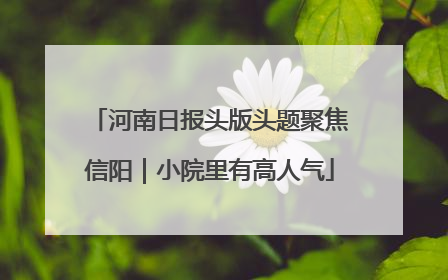 河南日报头版头题聚焦信阳｜小院里有高人气