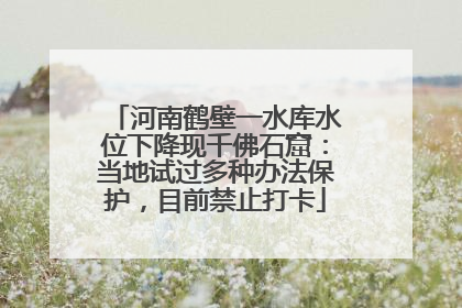 河南鹤壁一水库水位下降现千佛石窟：当地试过多种办法保护，目前禁止打卡