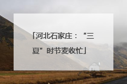河北石家庄：“三夏”时节麦收忙