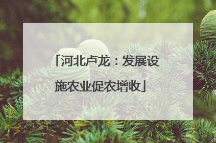 河北卢龙：发展设施农业促农增收