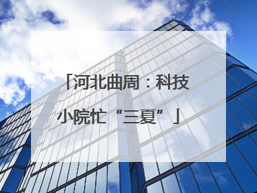 河北曲周：科技小院忙“三夏”
