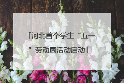 河北首个学生“五一”劳动周活动启动
