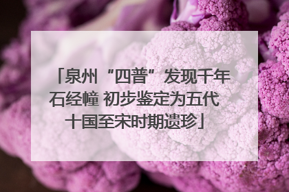 泉州“四普”发现千年石经幢 初步鉴定为五代十国至宋时期遗珍