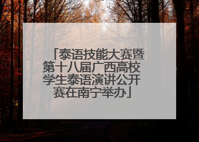 泰语技能大赛暨第十八届广西高校学生泰语演讲公开赛在南宁举办