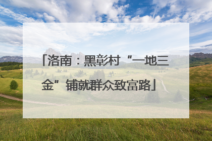 洛南：黑彰村“一地三金”铺就群众致富路