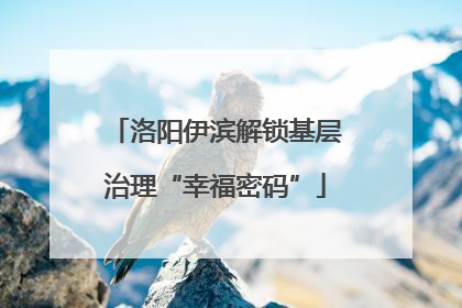 洛阳伊滨解锁基层治理“幸福密码”