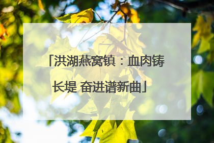 洪湖燕窝镇：血肉铸长堤 奋进谱新曲