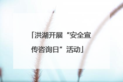 洪湖开展“安全宣传咨询日”活动