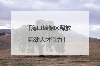 海口综保区释放强劲人才引力