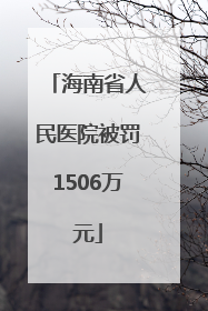 海南省人民医院被罚1506万元