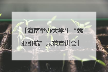 海南举办大学生“就业引航”示范宣讲会