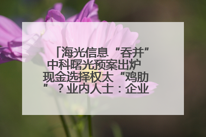 海光信息“吞并”中科曙光预案出炉 现金选择权太“鸡肋”？业内人士：企业不想大量现金流出