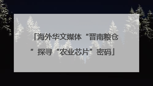 海外华文媒体“晋南粮仓”探寻“农业芯片”密码