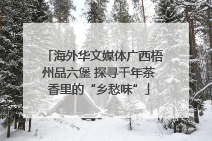 海外华文媒体广西梧州品六堡 探寻千年茶香里的“乡愁味”