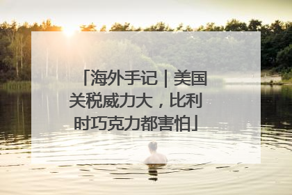 海外手记｜美国关税威力大，比利时巧克力都害怕