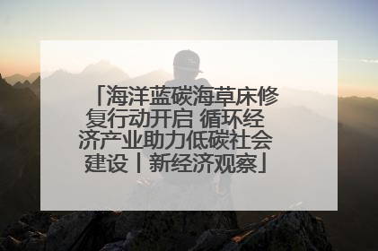 海洋蓝碳海草床修复行动开启 循环经济产业助力低碳社会建设丨新经济观察