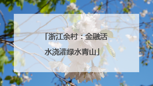 浙江余村：金融活水浇灌绿水青山