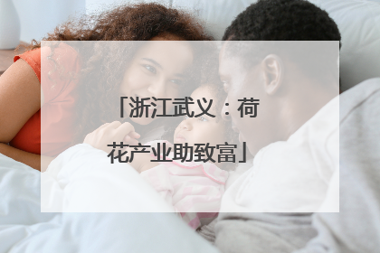 浙江武义：荷花产业助致富