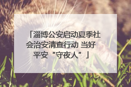 淄博公安启动夏季社会治安清查行动 当好平安“守夜人”