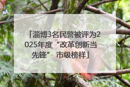 淄博3名民警被评为2025年度“改革创新当先锋” 市级榜样